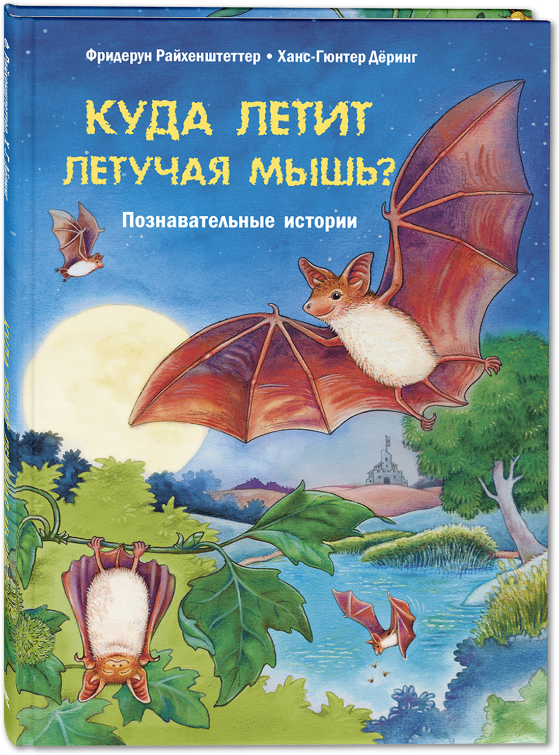 Куда летит летучая мышь? Познавательные истории. Райхенштеттер Ф. Давай познакомимся