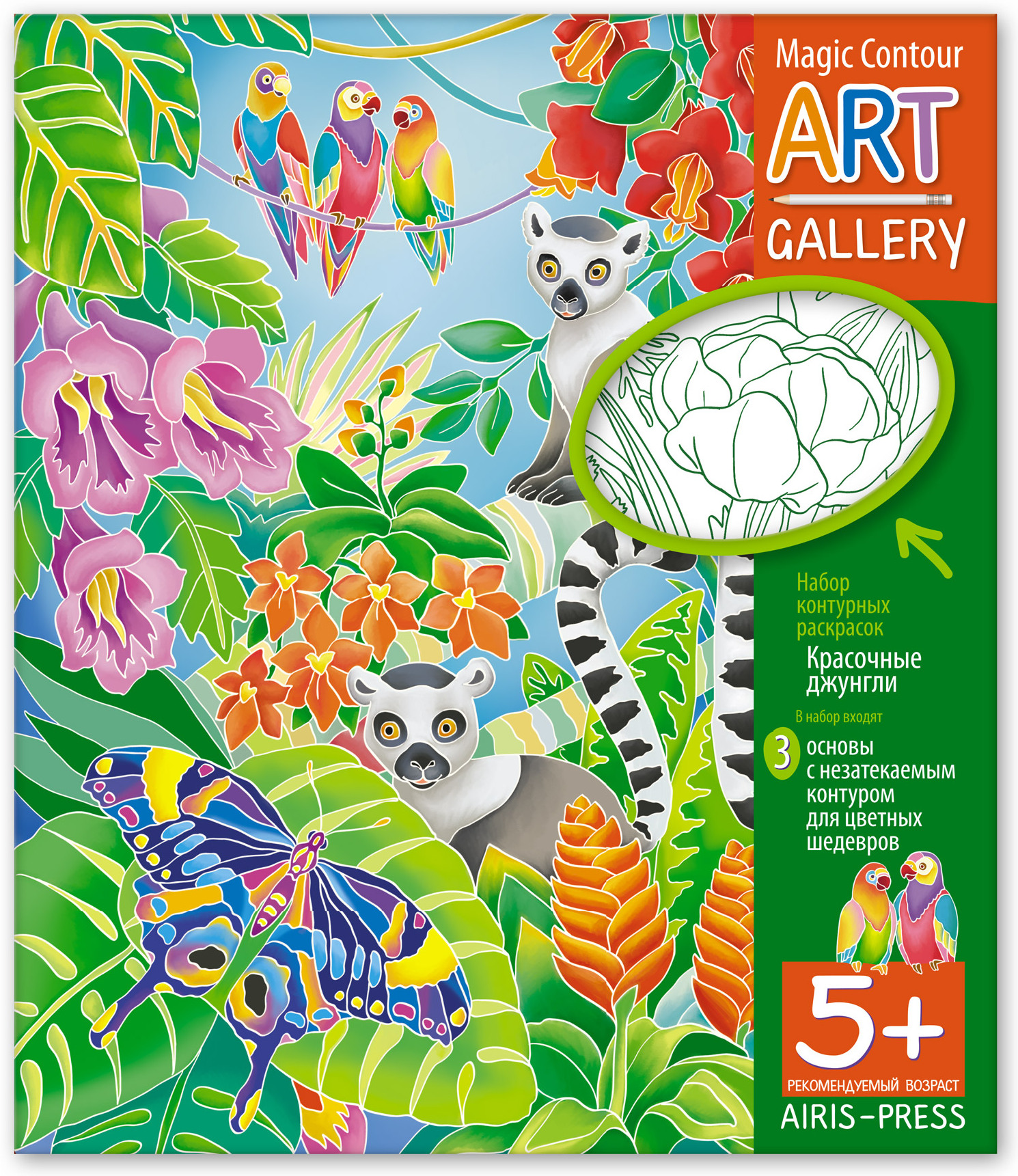 Набор контурных раскрасок Красочные джунгли. 3 основы. АРТ Галерея