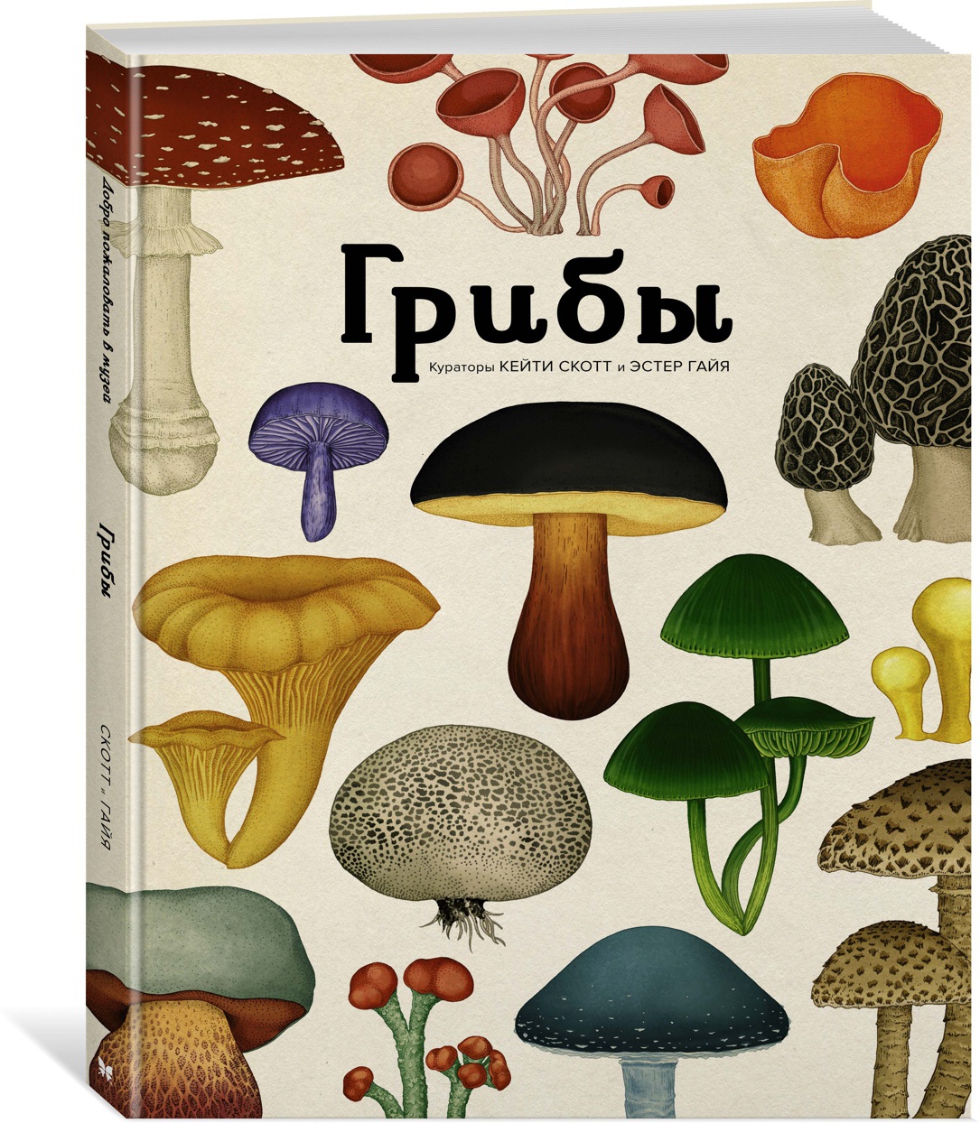 Грибы. Хауксворт Д.Л., Сьюз Л.М., Кой П.В. Энциклопедии