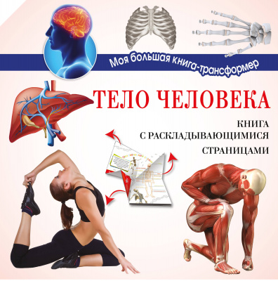 Тело человека. Усова И.В. Моя большая книга-трансформер