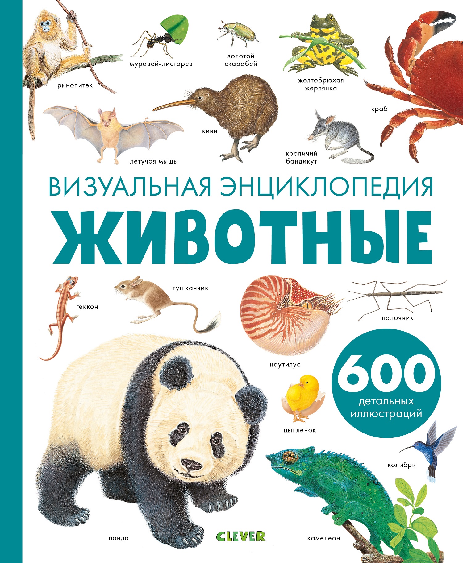 Животные. Визуальная энциклопедия. Бадреддин Д. Любимая детская энциклопедия