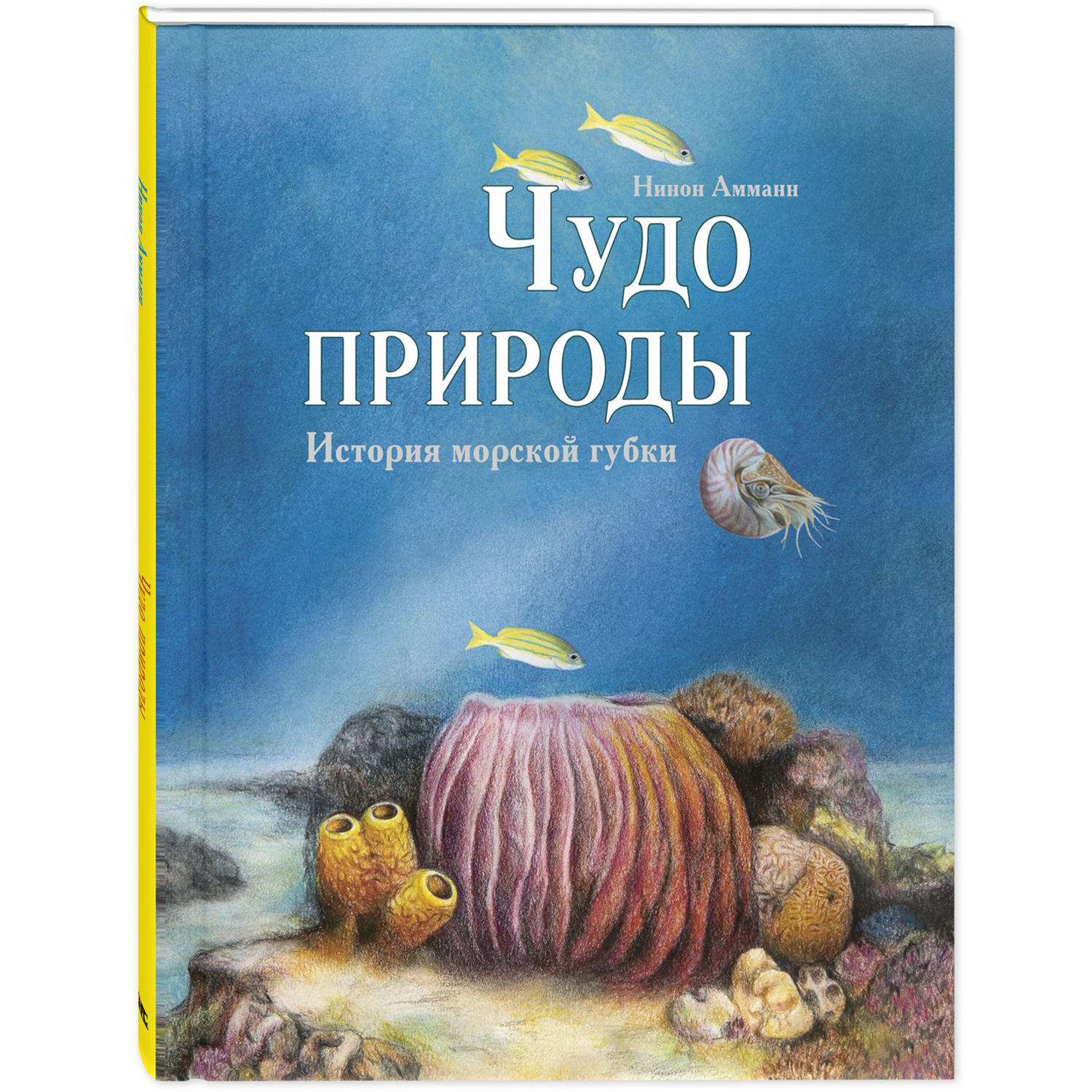 Чудо природы. История морской губки. Амманн Н. Это очень интересно