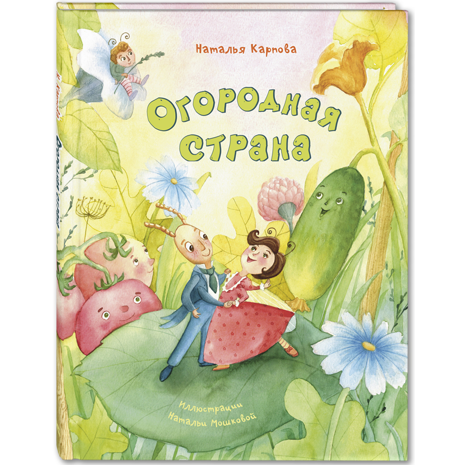 Огородная страна. Карпова Н. В. Весёлые книжки для малыша и малышки