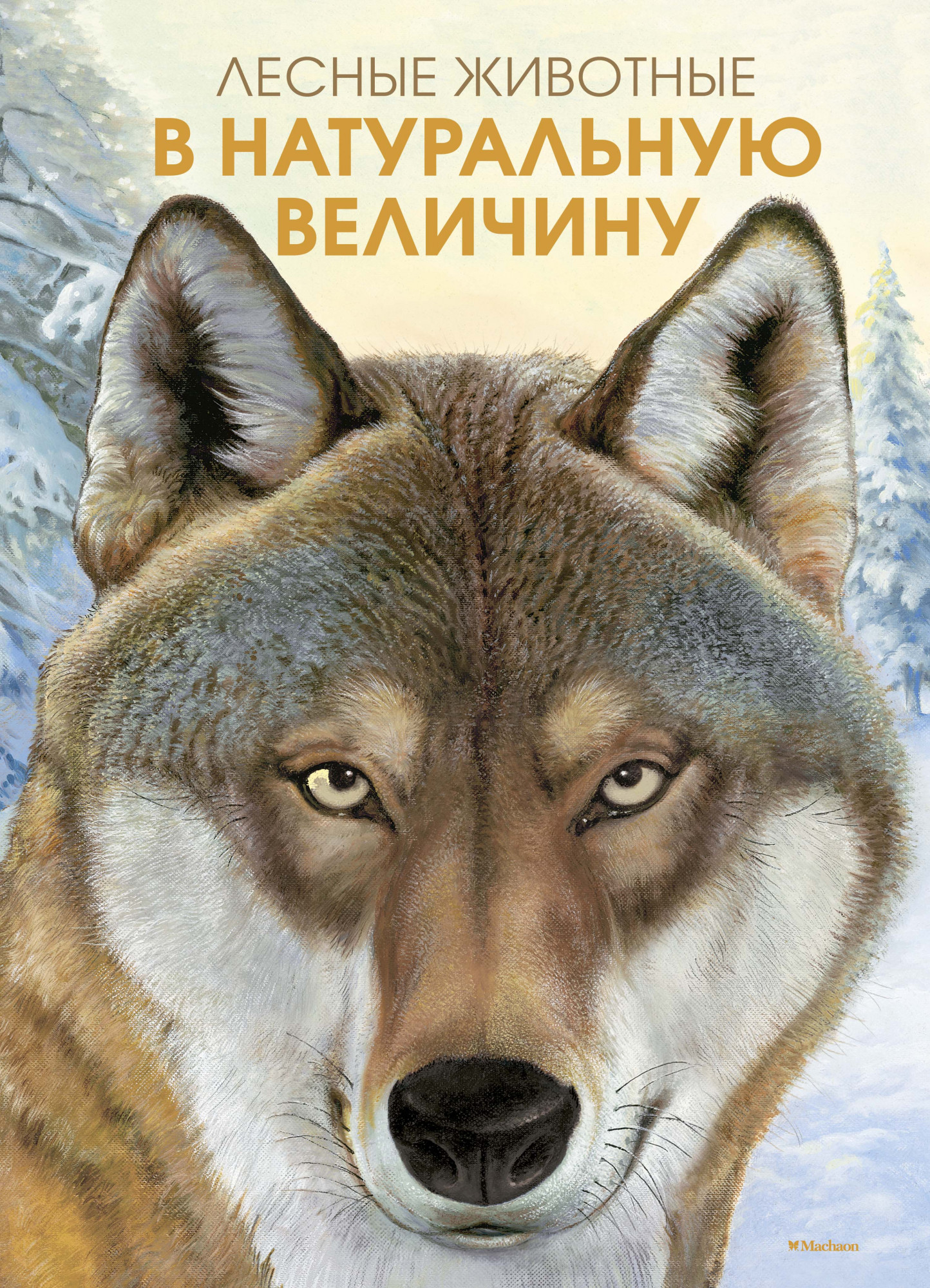 Лесные животные в натуральную величину. Хааг Х. Иллюстрированная энциклопедия