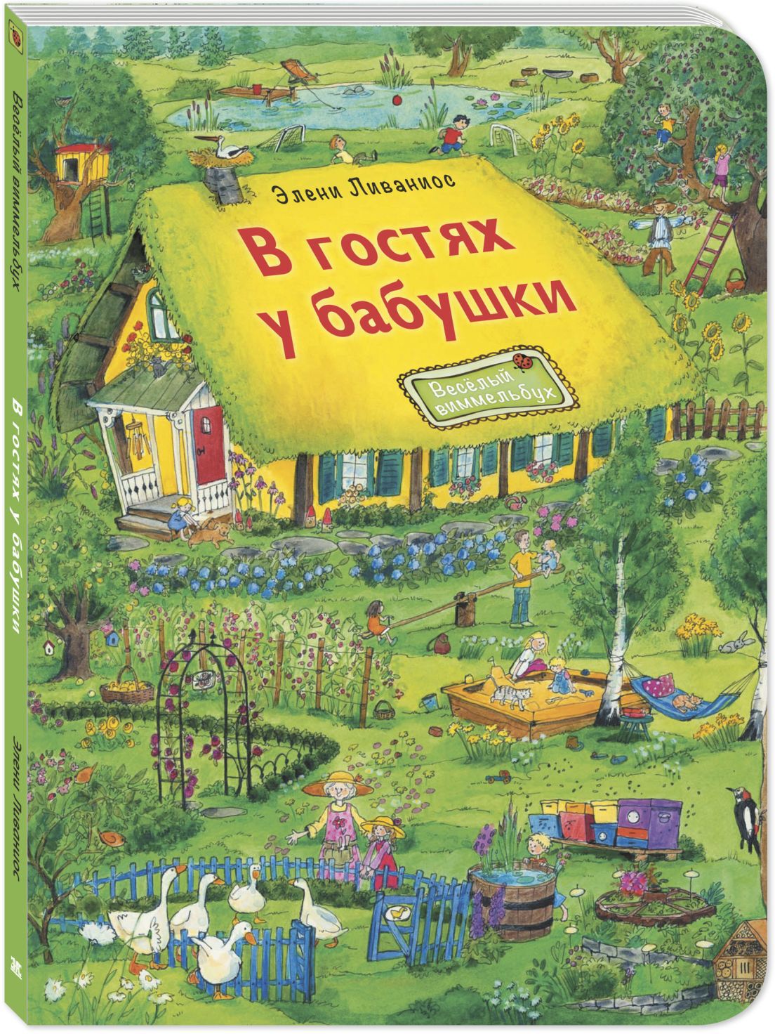 В гостях у бабушки. Ливаниос Э. Весёлый виммельбух