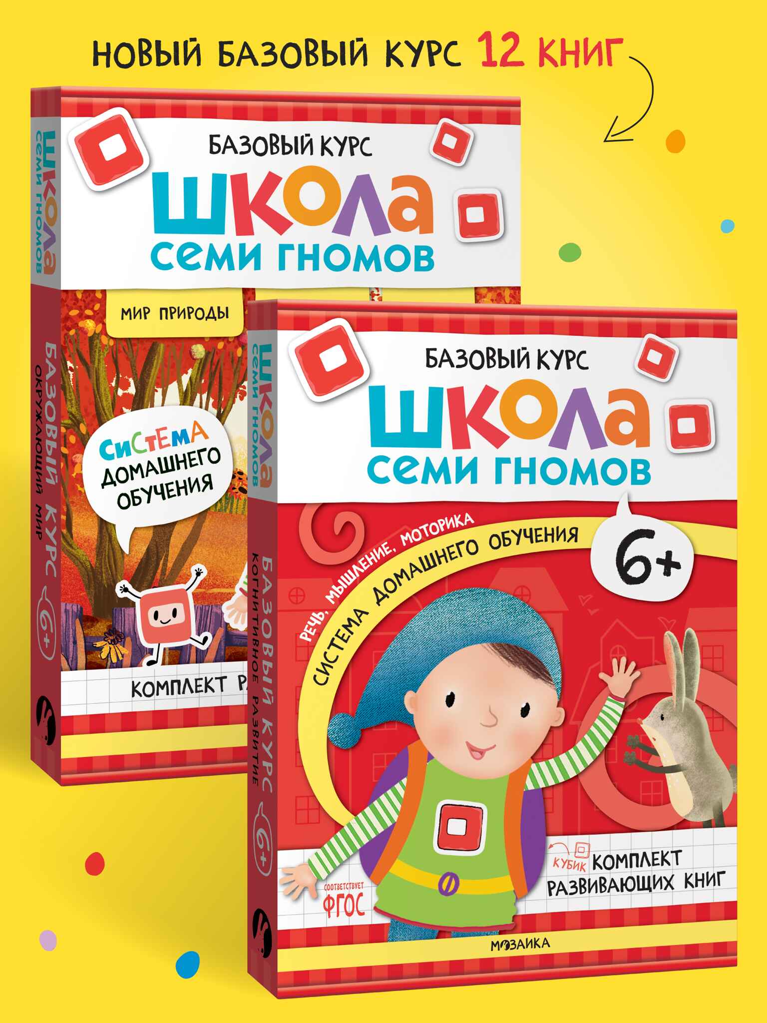 Годовой базовый курс. Комплект 6+ (Школа Семи Гномов. Базовый курс), 12 книг + развивающие материалы