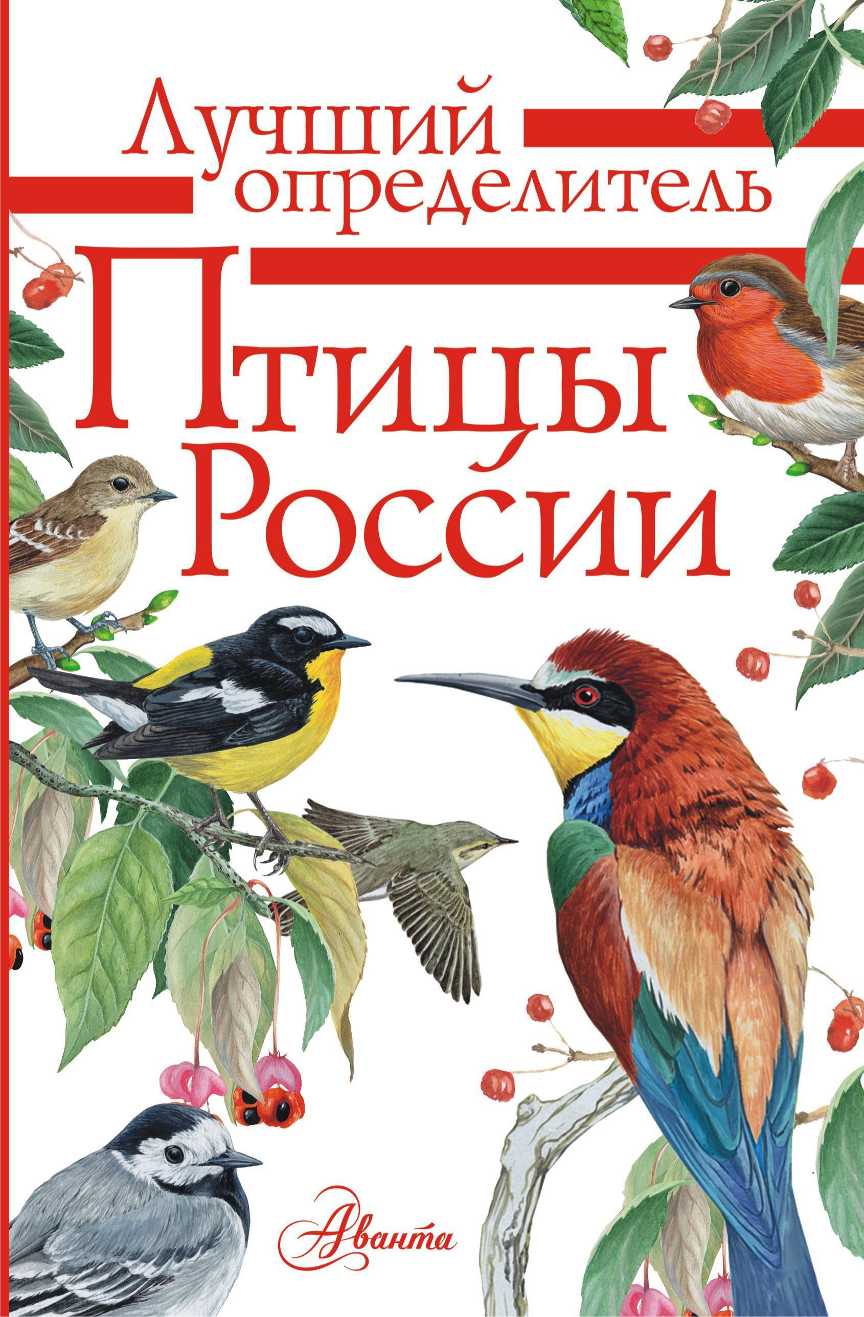 Птицы России. Мосалов А.А. Лучший определитель