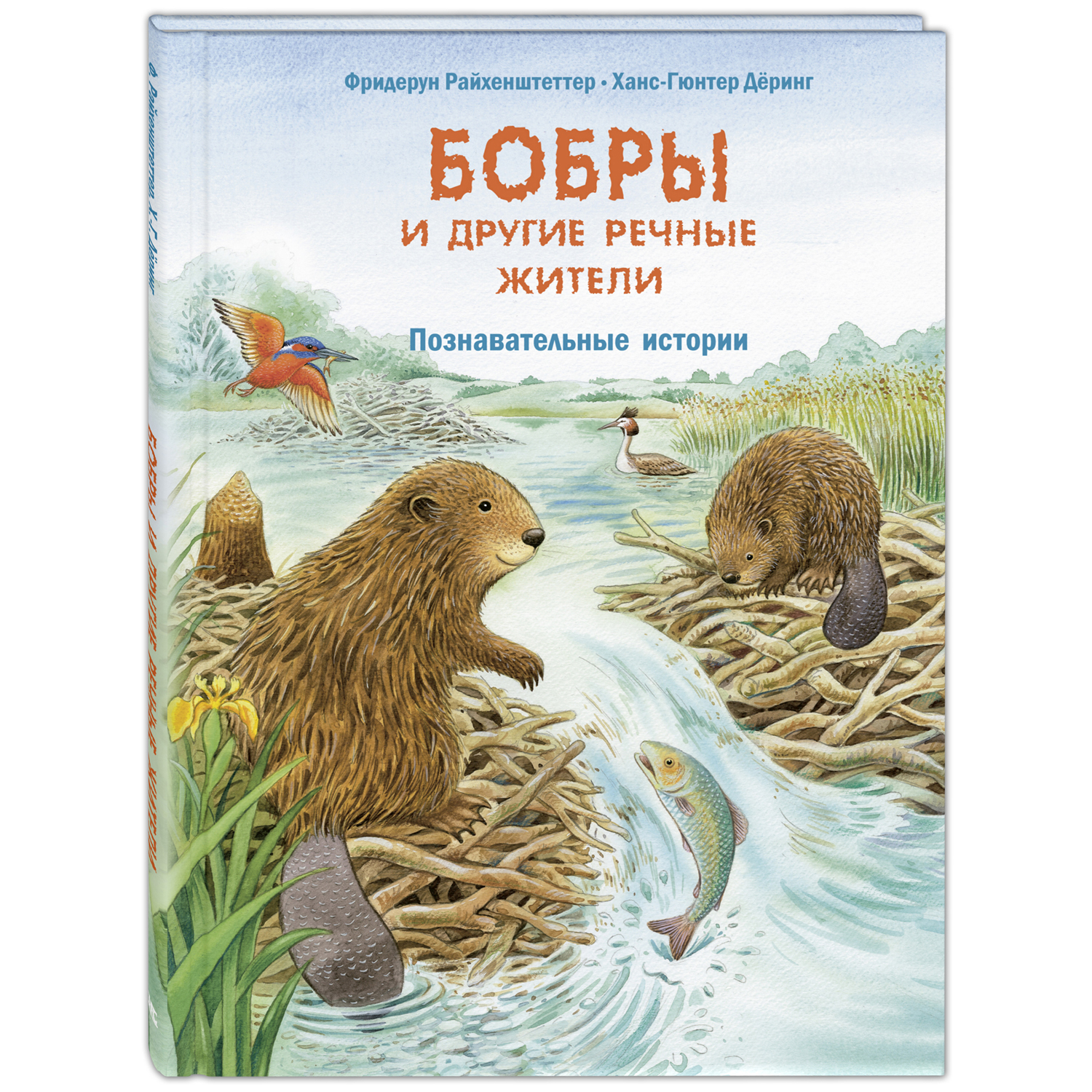 Бобры и другие речные жители. Познавательные истории. Райхенштеттер Ф. Давай познакомимся