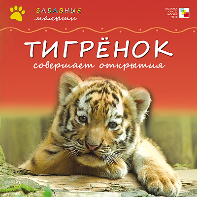 Тигренок совершает открытия
