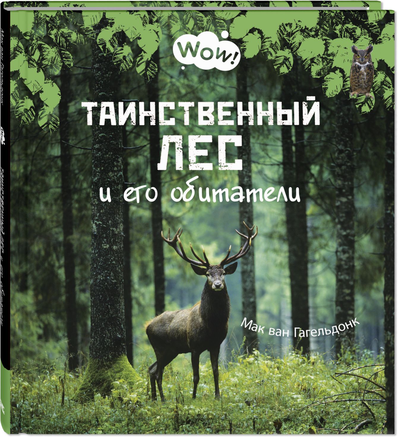 Таинственный лес и его обитатели. Гагельдонк, М. ван. Wow!