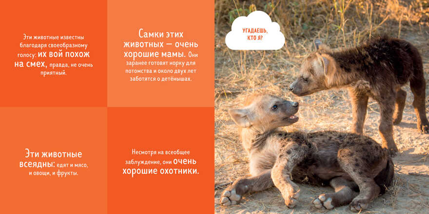 Кто прячется в пустыне? Уткина О. Удивительный мир, производитель Клевер (Clever) , ISBN 978-5-00115-332-0, № 5