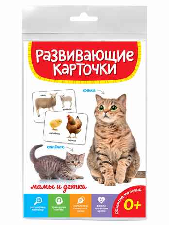 Мамы и детки. Развивающие карточки, производитель Проф-Пресс , ISBN 467-0-15905-286-9№ 1