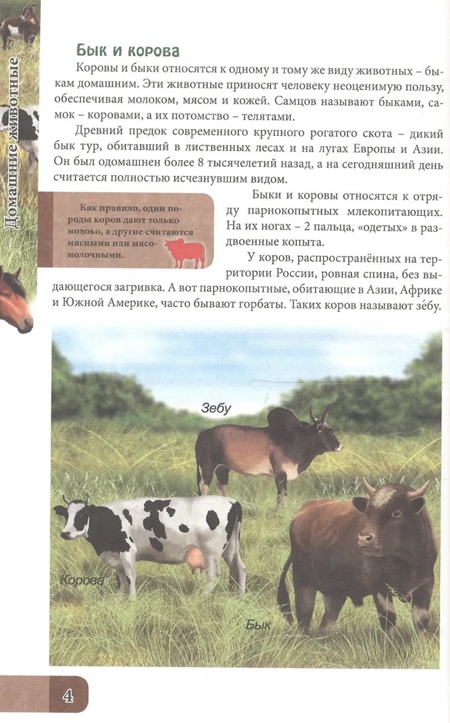 Домашние животные. Энциклопедия. В мире знаний, производитель Проф-Пресс , ISBN 978-5-37827-606-6, № 2