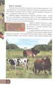 Домашние животные. Энциклопедия. В мире знаний, производитель Проф-Пресс , ISBN 978-5-37827-606-6, № 2