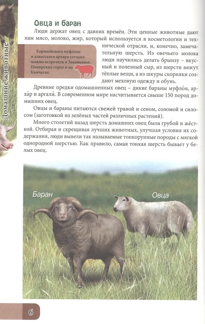 Домашние животные. Энциклопедия. В мире знаний, производитель Проф-Пресс , ISBN 978-5-37827-606-6, № 3