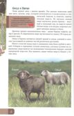 Домашние животные. Энциклопедия. В мире знаний, производитель Проф-Пресс , ISBN 978-5-37827-606-6, № 3