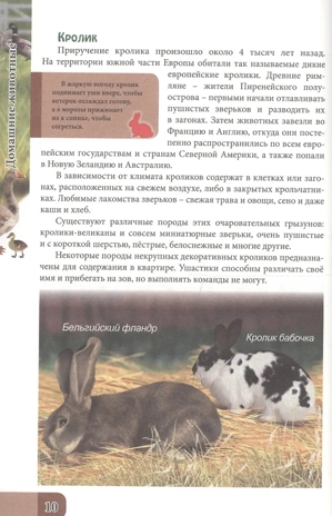 Домашние животные. Энциклопедия. В мире знаний, производитель Проф-Пресс , ISBN 978-5-37827-606-6 № 4