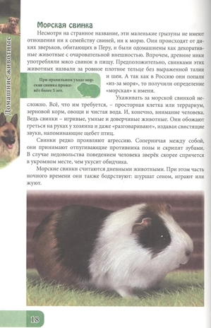 Домашние животные. Энциклопедия. В мире знаний, производитель Проф-Пресс , ISBN 978-5-37827-606-6 № 5