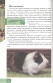 Домашние животные. Энциклопедия. В мире знаний, производитель Проф-Пресс , ISBN 978-5-37827-606-6, № 5