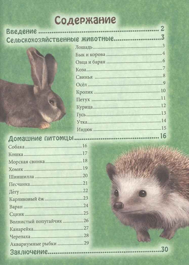 Домашние животные. Энциклопедия. В мире знаний, производитель Проф-Пресс , ISBN 978-5-37827-606-6, № 6