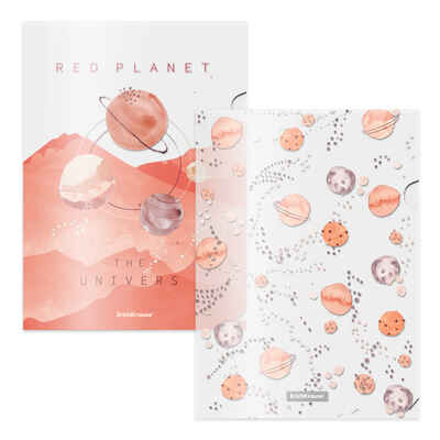 Набор из 4 папок-уголков пластиковых Martian Girl, А4, ассорти, арт. 55103, производитель ErichKrause® (Эрих Краузе), ISBN 465-0-18455-103-2№ 1