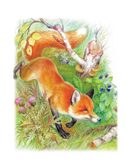 Лиса Патрикеевна. Сказки и рассказы, производитель АСТ , ISBN 978-5-17157-489-5, № 2
