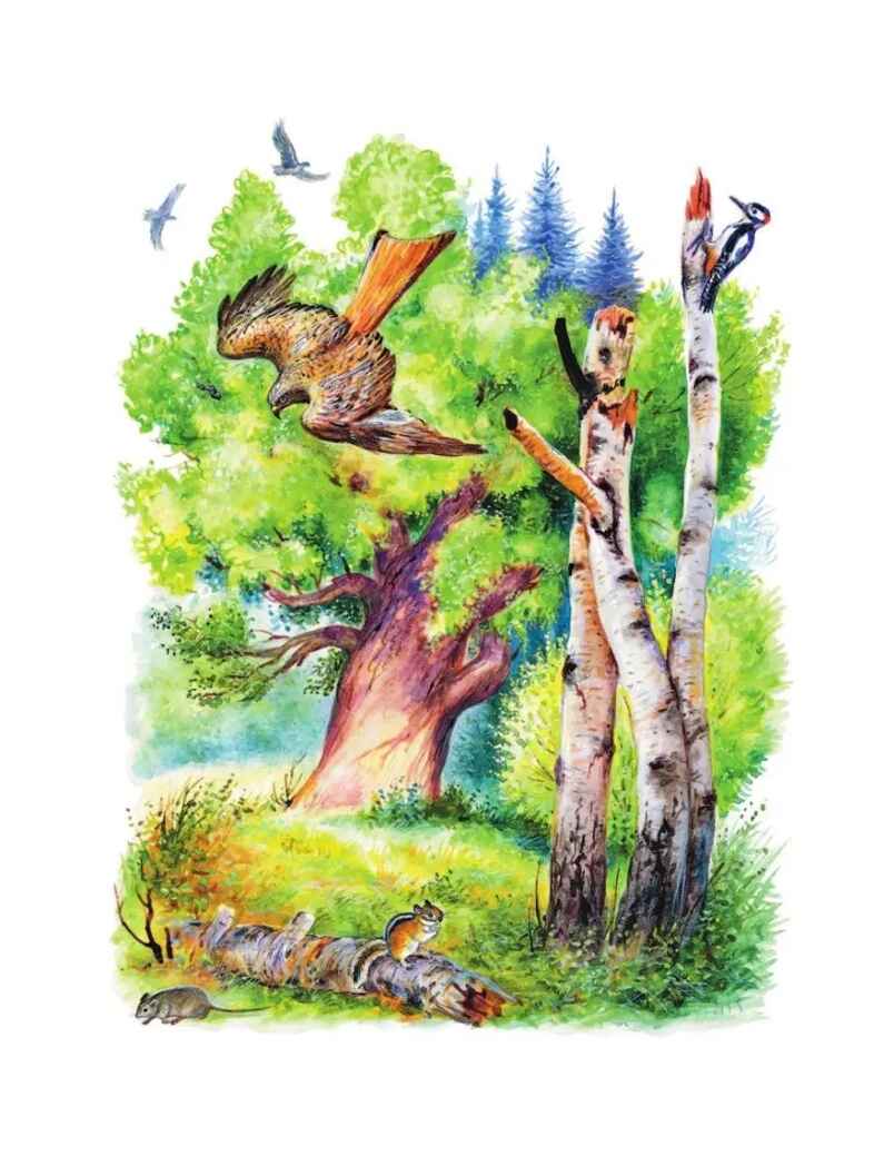 Лисичкин хлеб. Рассказы, производитель АСТ , ISBN 978-5-17156-706-4, № 6