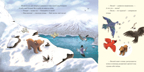 Весна медвежонка. Вуллард Э., производитель Нигма, ISBN 978-5-43350-892-7, № 5