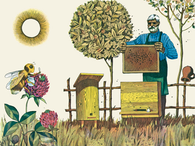 Паучок и лунный свет, производитель Нигма, ISBN 978-5-43350-040-2, № 2