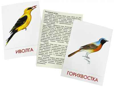 Дидактические карточки &quot;Птицы наших лесов&quot;  (в пакете), производитель Маленький Гений-Пресс , ISBN 460-7-05409-192-1№ 2