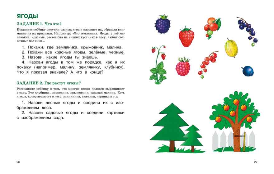 Развитие речи. Уроки с логопедом, производитель Махаон , ISBN 978-5-38925-713-9, № 5