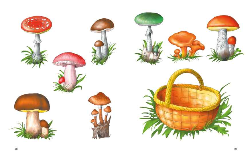 Развитие речи. Уроки с логопедом, производитель Махаон , ISBN 978-5-38925-713-9, № 8