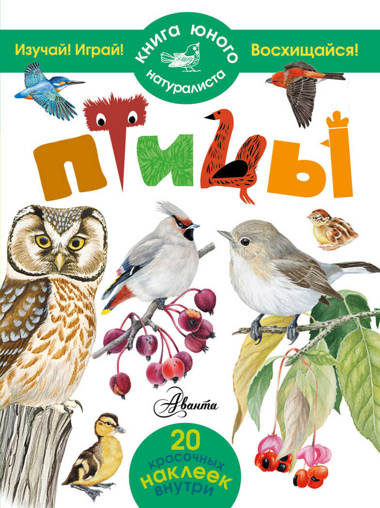 Птицы. Книга юного натуралиста. Волцит П.М., производитель АСТ , ISBN 978-5-17088-871-9, № 1