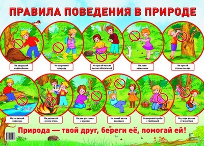 Демонстрационный плакат А2. Правила поведения в природе, производитель Сфера ТЦ , ISBN 978-5-99491-273-7, № 1