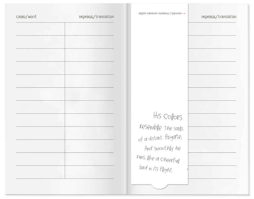 Тетрадь для записи иностранных слов с клапанами. (Жираф), арт.25090, производитель Айрис-пресс , ISBN 465-0-38821-103-9, № 6