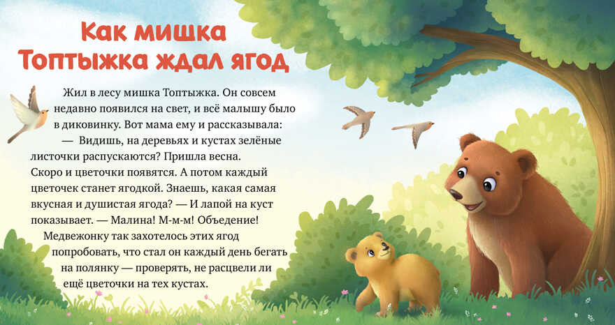 Любознательный малыш. Лесные малыши/Ульева Е., производитель Клевер (Clever) , ISBN 978-5-00211-171-8, № 3