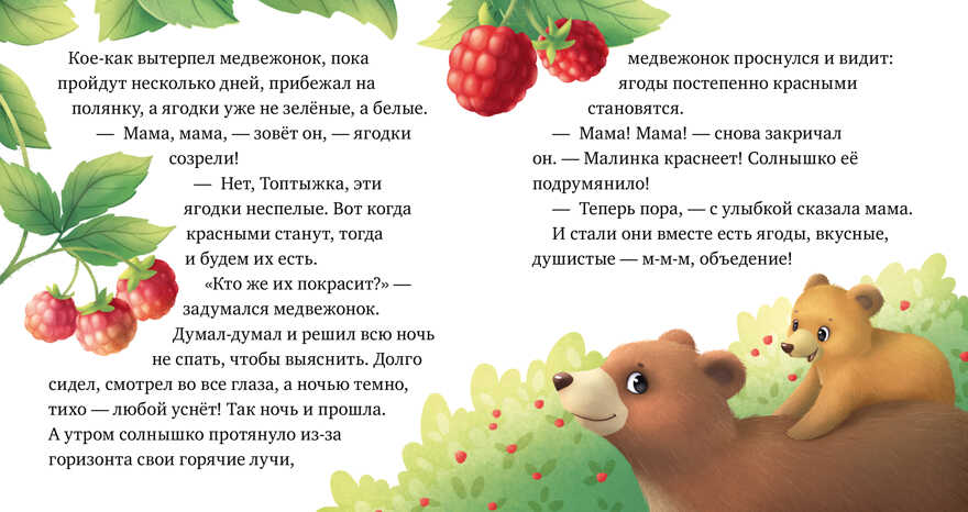 Любознательный малыш. Лесные малыши/Ульева Е., производитель Клевер (Clever) , ISBN 978-5-00211-171-8, № 5