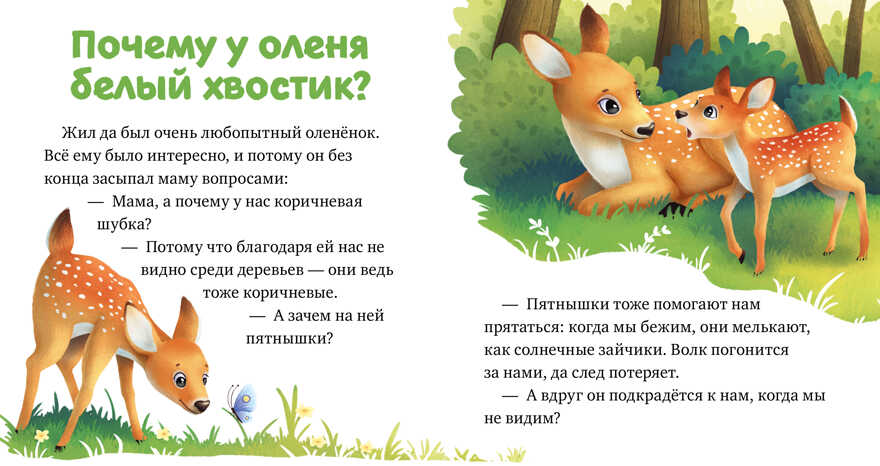 Любознательный малыш. Лесные малыши/Ульева Е., производитель Клевер (Clever) , ISBN 978-5-00211-171-8, № 6