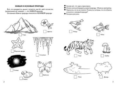 Знакомимся с окружающим миром (для детей 5-6 лет). Бортникова Е. Ф. Рабочая тетрадь, производитель Литур , ISBN 978-5-97801-055-8№ 2