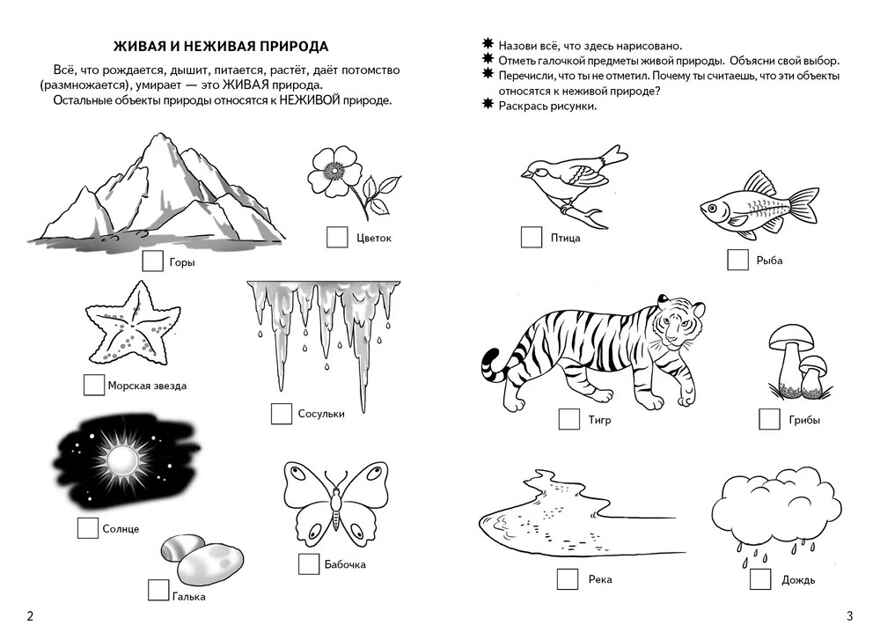 Знакомимся с окружающим миром (для детей 5-6 лет). Бортникова Е. Ф. Рабочая тетрадь, производитель Литур , ISBN 978-5-97801-055-8, № 2