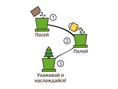 Горшок Ель необыкновенная, арт. hpn-10, производитель BUMBARAM (БУМБАРАМ), ISBN 467-0-00189-438-8№ 6
