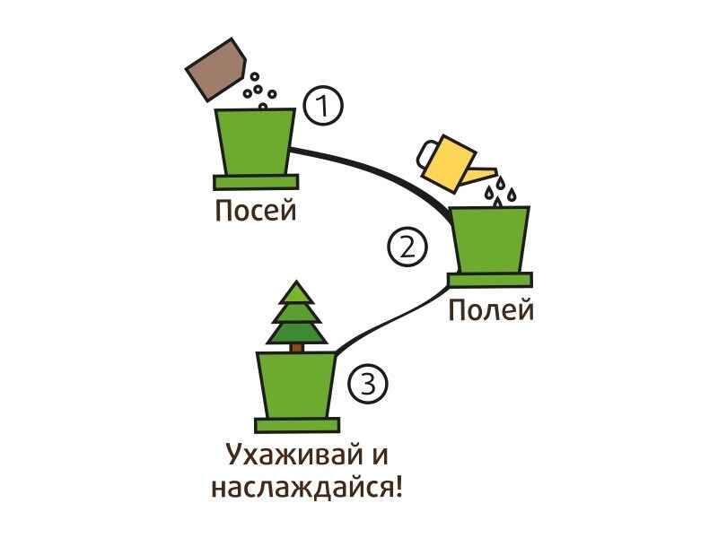 Горшок Ель необыкновенная, арт. hpn-10, производитель BUMBARAM (БУМБАРАМ), ISBN 467-0-00189-438-8, № 6
