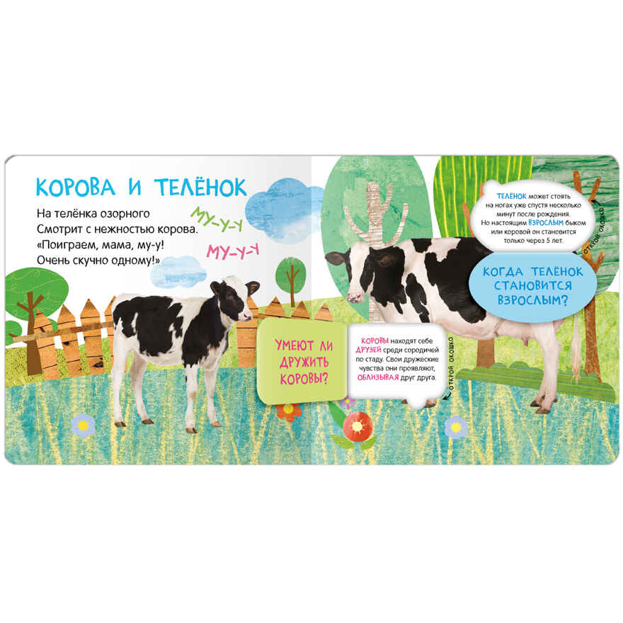 Книжки с окошками. Набор из 9 книг, производитель МОЗАИКА kids , ISBN 978-5-43153-290-0, № 13