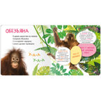 Книжки с окошками. Набор из 9 книг, производитель МОЗАИКА kids , ISBN 978-5-43153-290-0, № 35