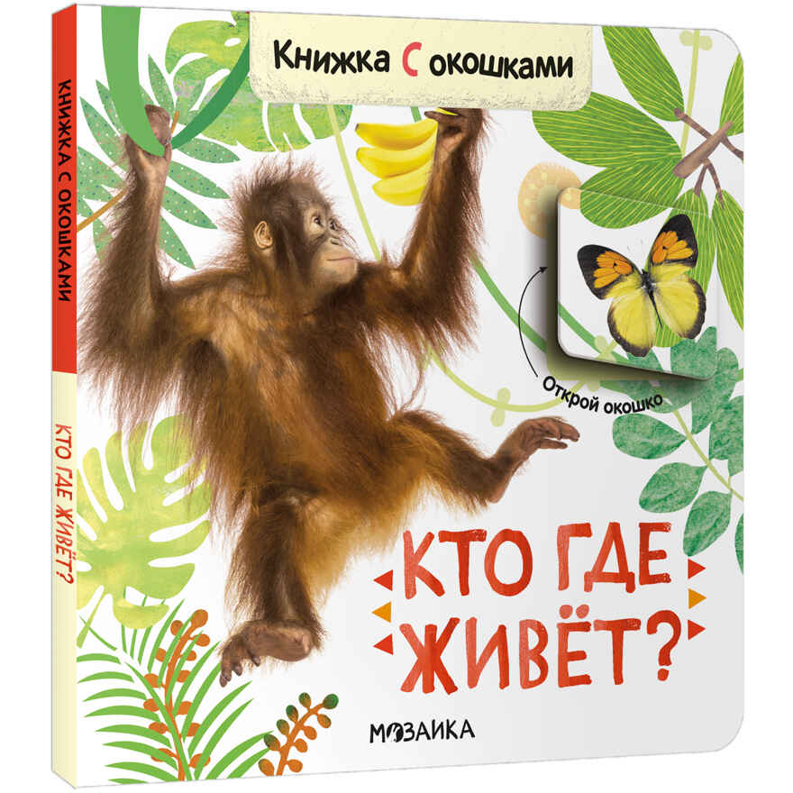 Книжки с окошками. Набор из 9 книг, производитель МОЗАИКА kids , ISBN 978-5-43153-290-0, № 36