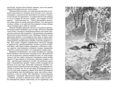 Собака Баскервилей, производитель Махаон , ISBN 978-5-38924-573-0№ 4