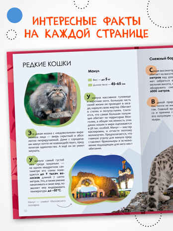 Красная книга, серия «Детская энциклопедия», производитель МОЗАИКА kids , ISBN 978-5-43154-483-5№ 2