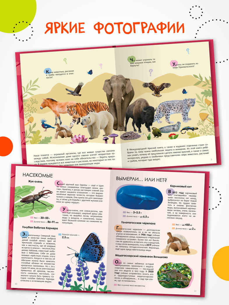 Красная книга, серия «Детская энциклопедия», производитель МОЗАИКА kids , ISBN 978-5-43154-483-5, № 3