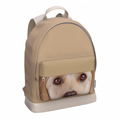 Рюкзак StreetLine с отделением для ноутбука 17 л. Beige Dog, бежевый, арт. 60905, производитель ErichKrause® (Эрих Краузе), ISBN 465-0-18460-905-4№ 1