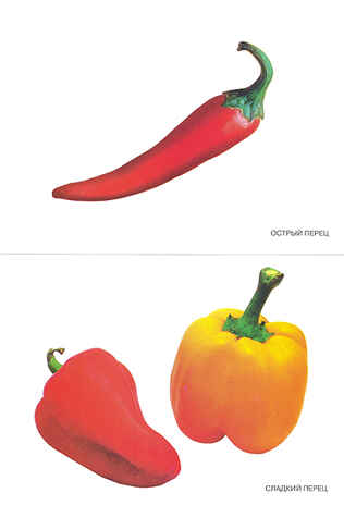 Овощи, производитель МОЗАИКА-СИНТЕЗ , ISBN 978-5-86775-115-9№ 1